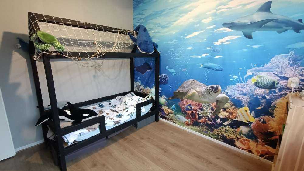 Poissons exotiques