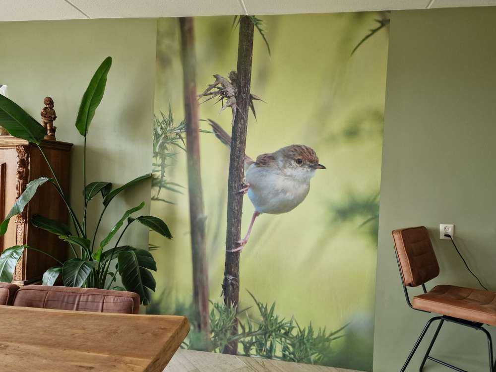 Oiseau sur une branche