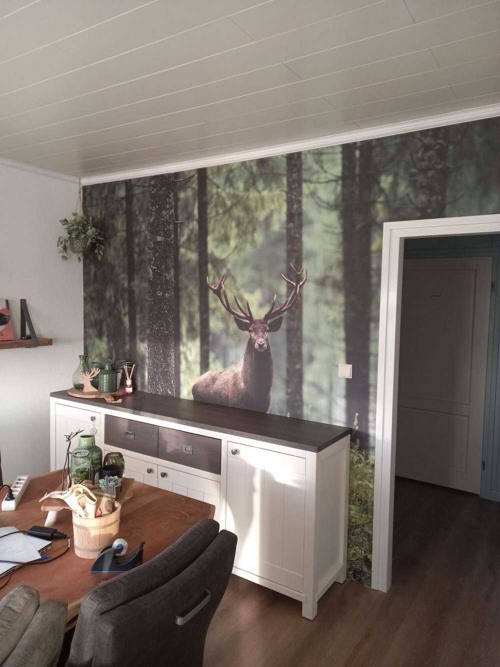 Grand cerf entre les arbres