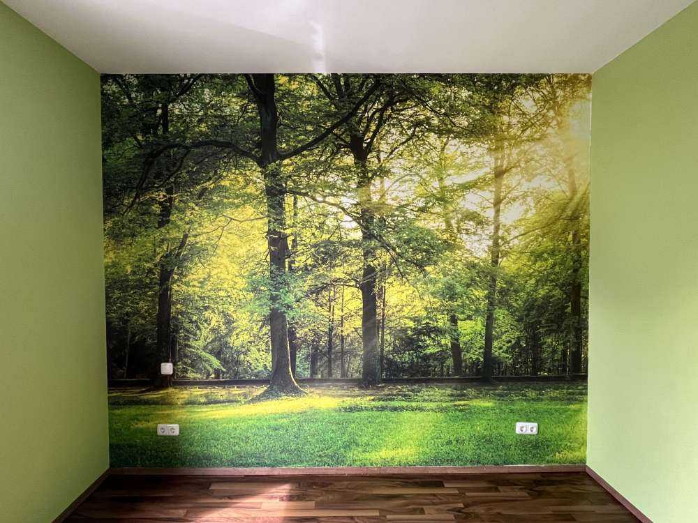 Forêt verte