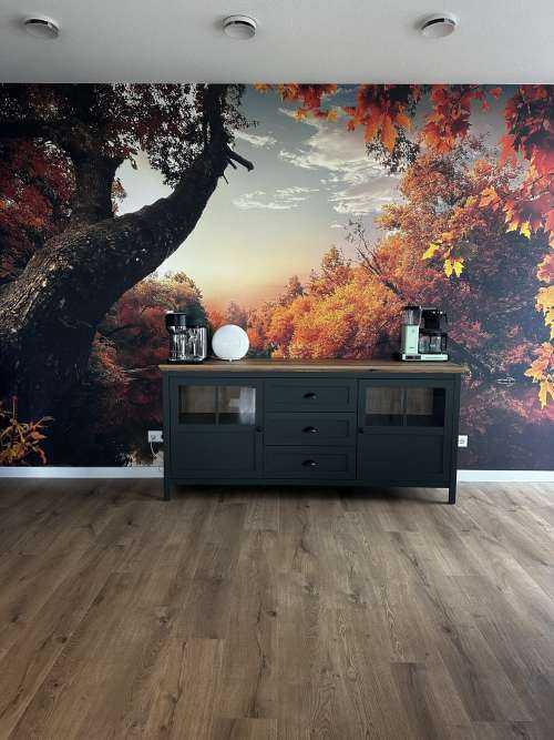 Automne orange