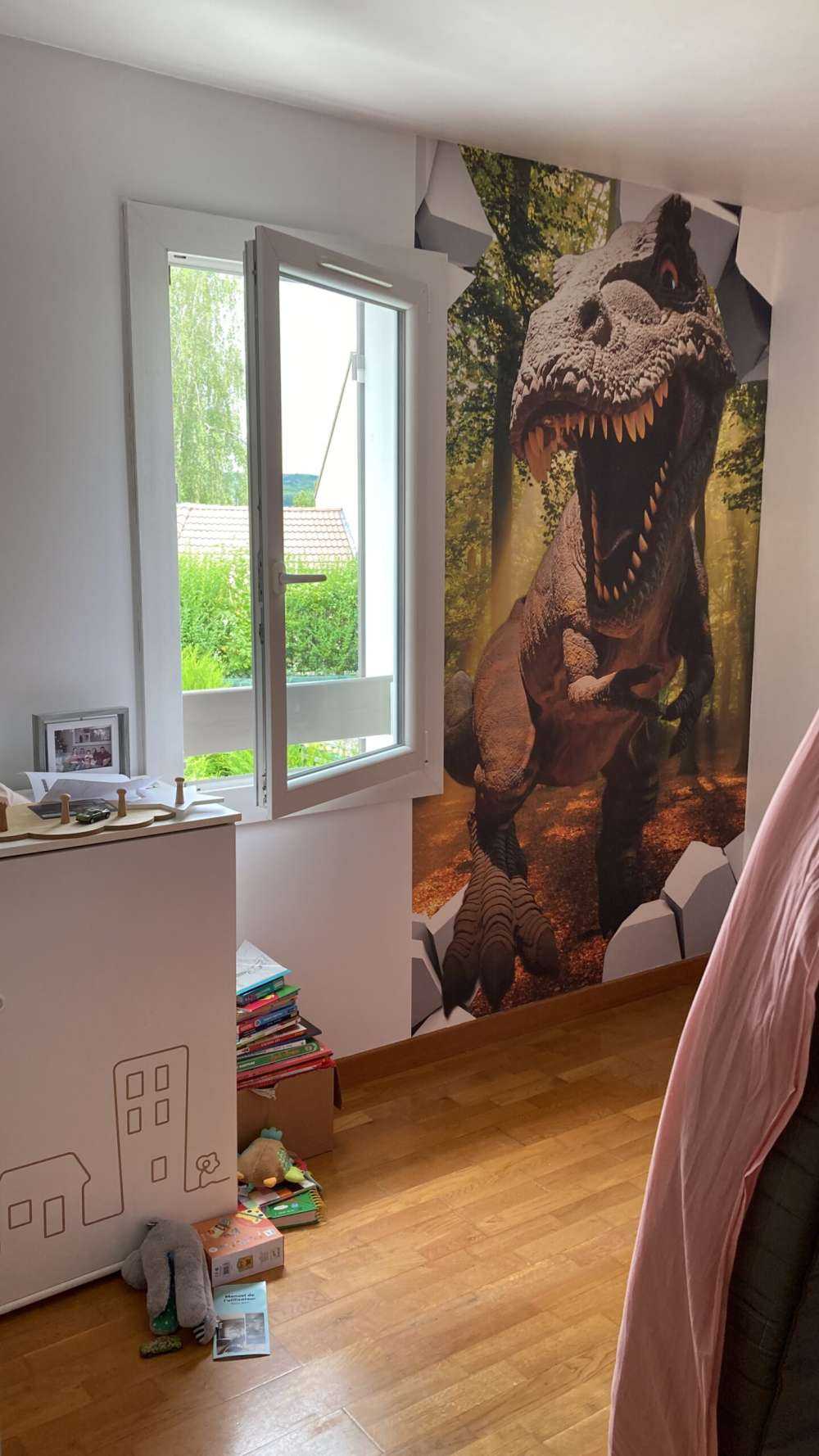 Dino dans un mur