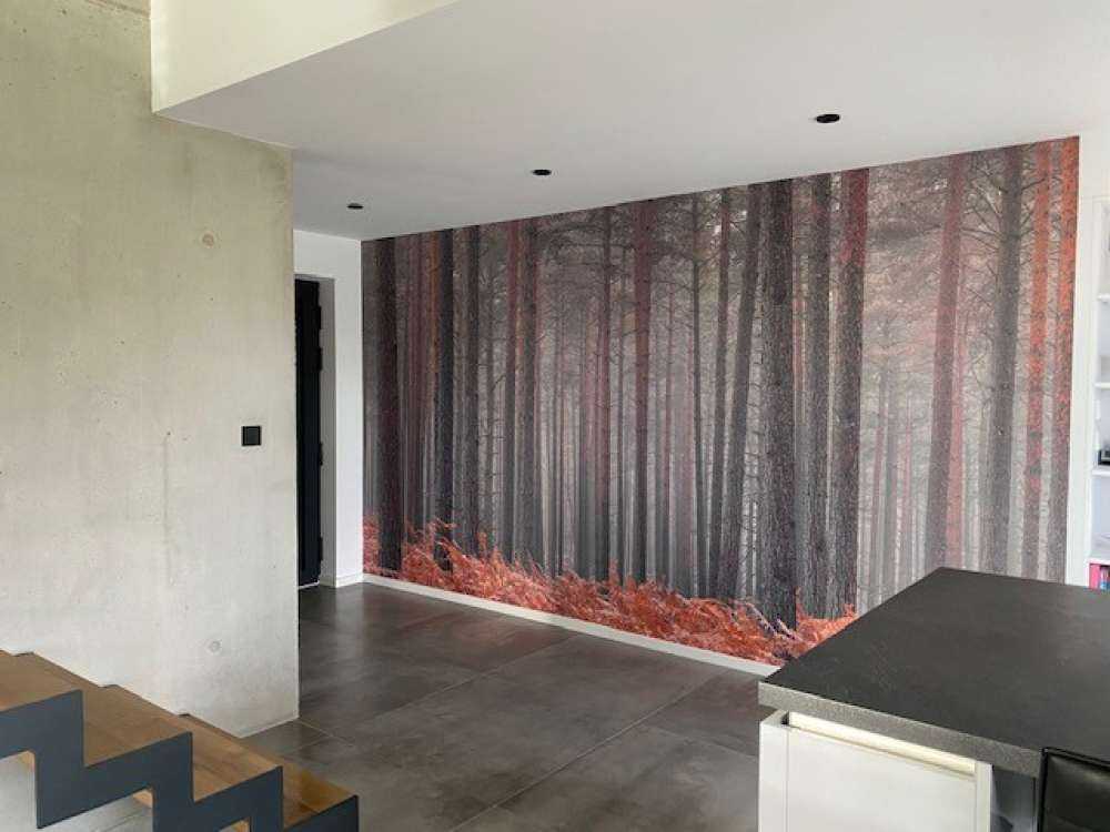 Arbres en automne