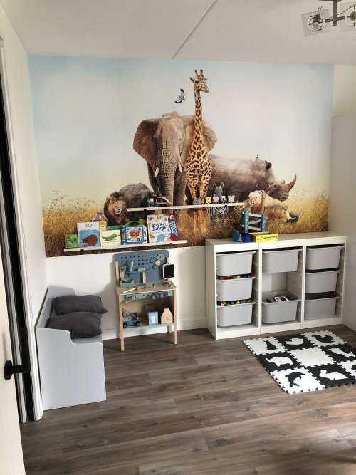 Animaux de la savane