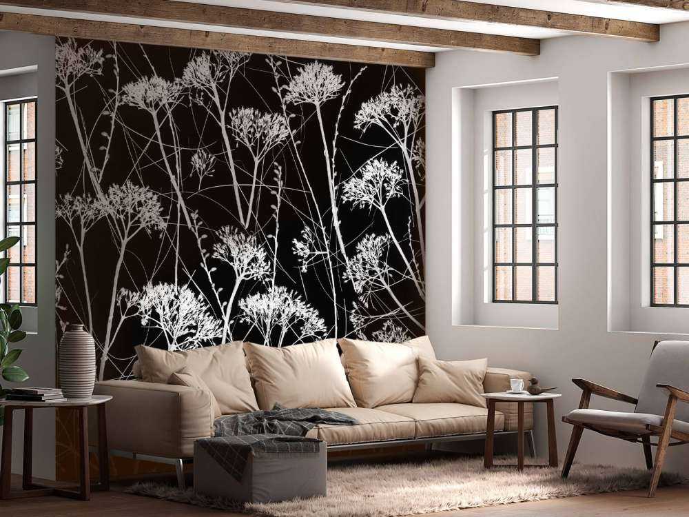 Silhouette de plantes séchées