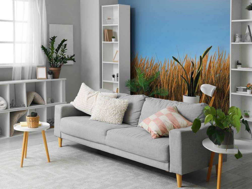 Herbe des dunes