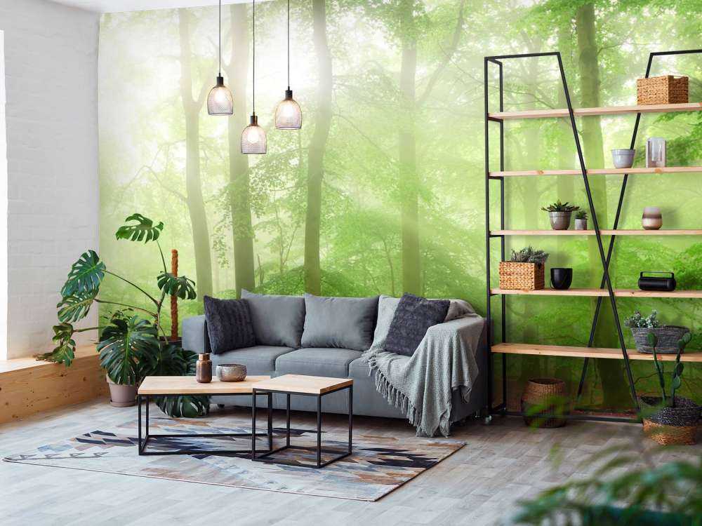 Panorama de forêt verte