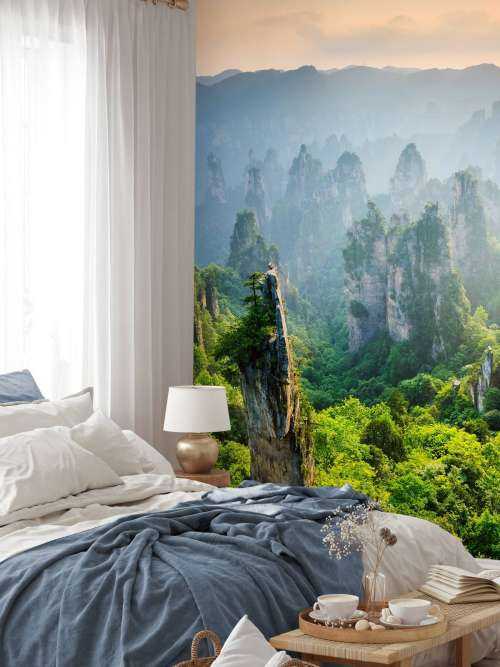 Jungle d'en haut