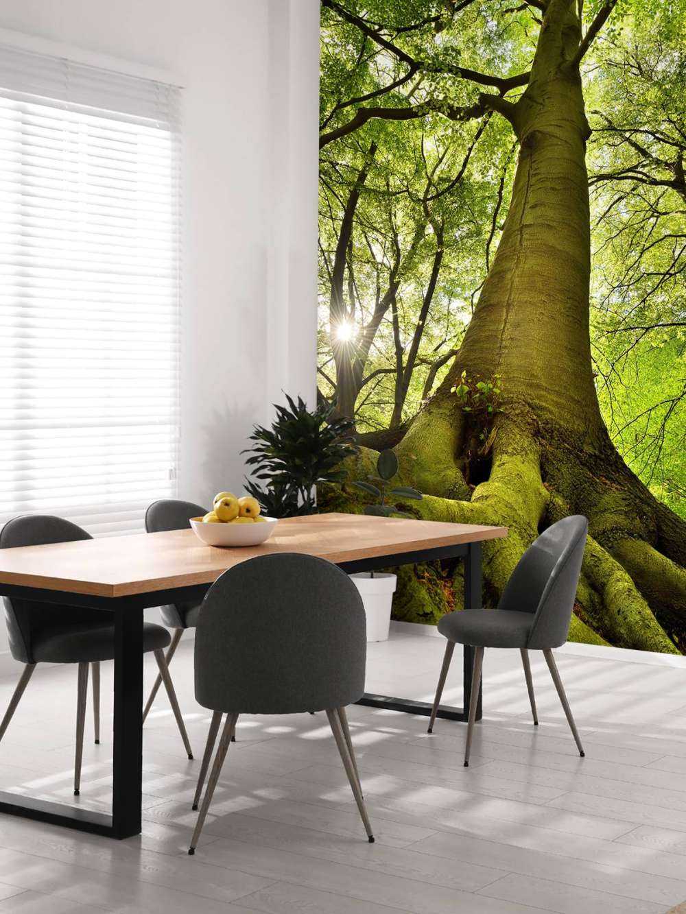 Grand arbre et racines
