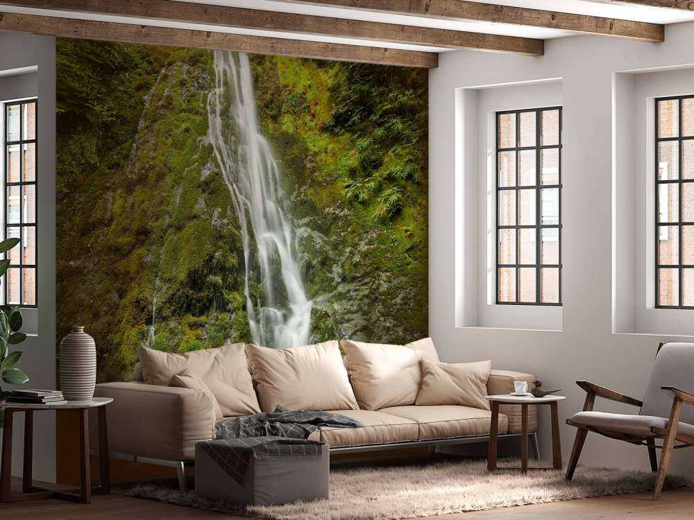 Chute d'eau avec une belle verdure