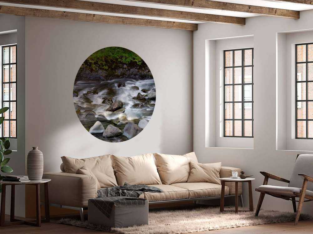 Rivière avec rochers