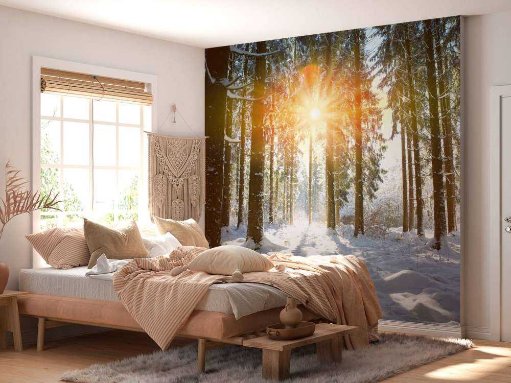 Lumière du soleil dans une forêt d'hiver