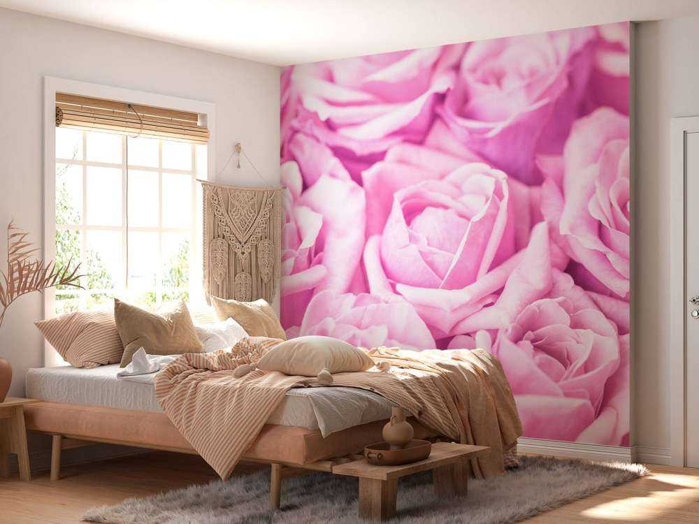 Plusieurs roses roses