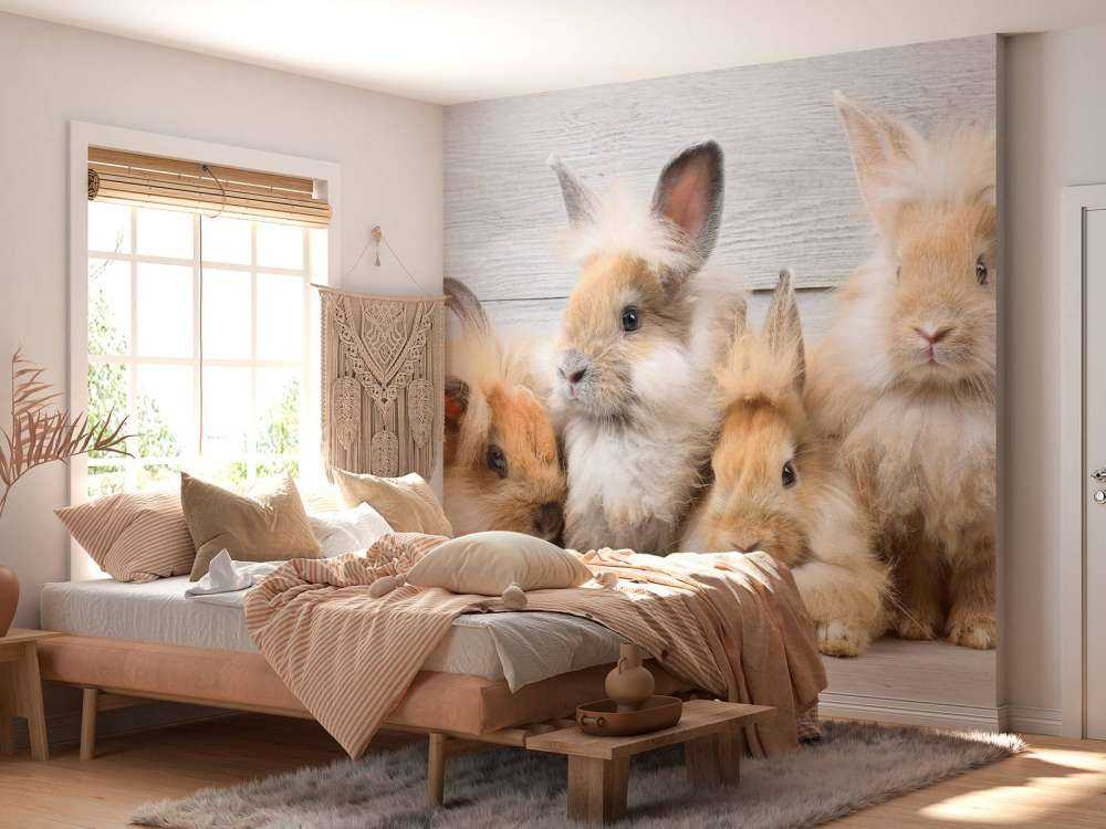 Petits lapins