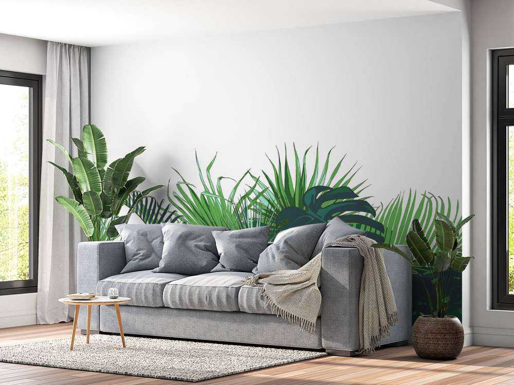 Palmiers tropicaux