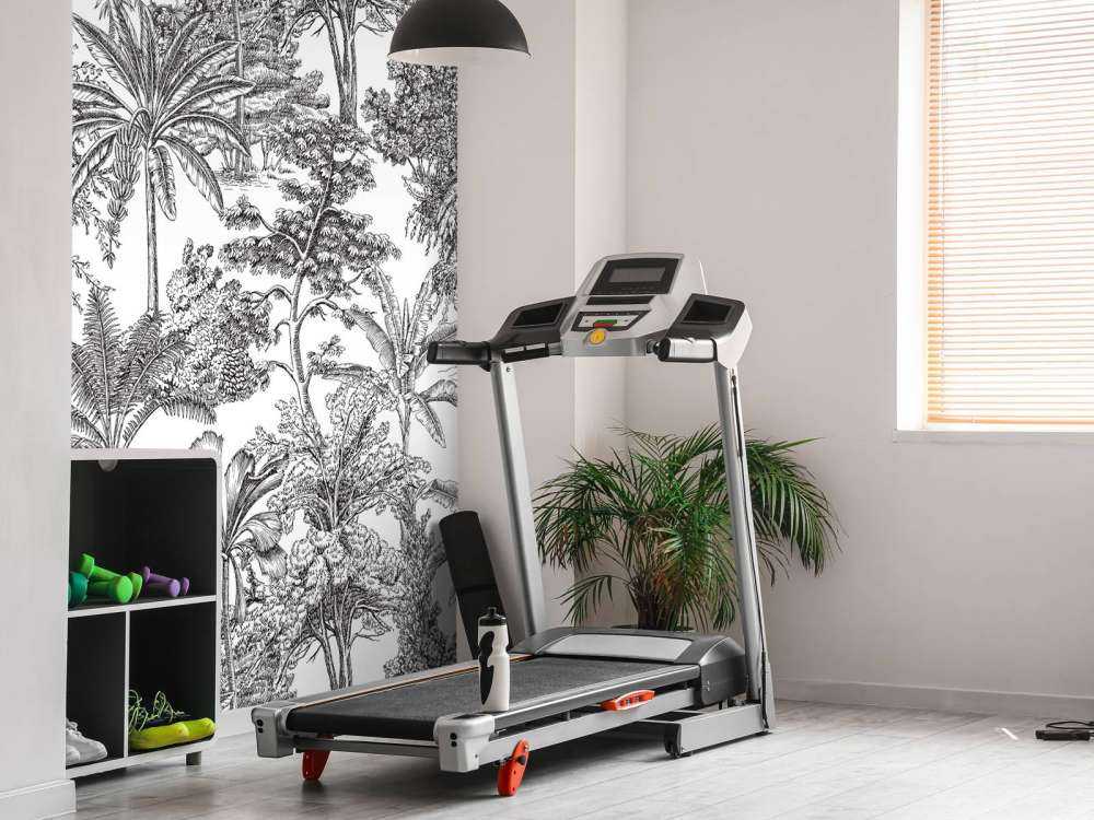 Arbres tropicaux