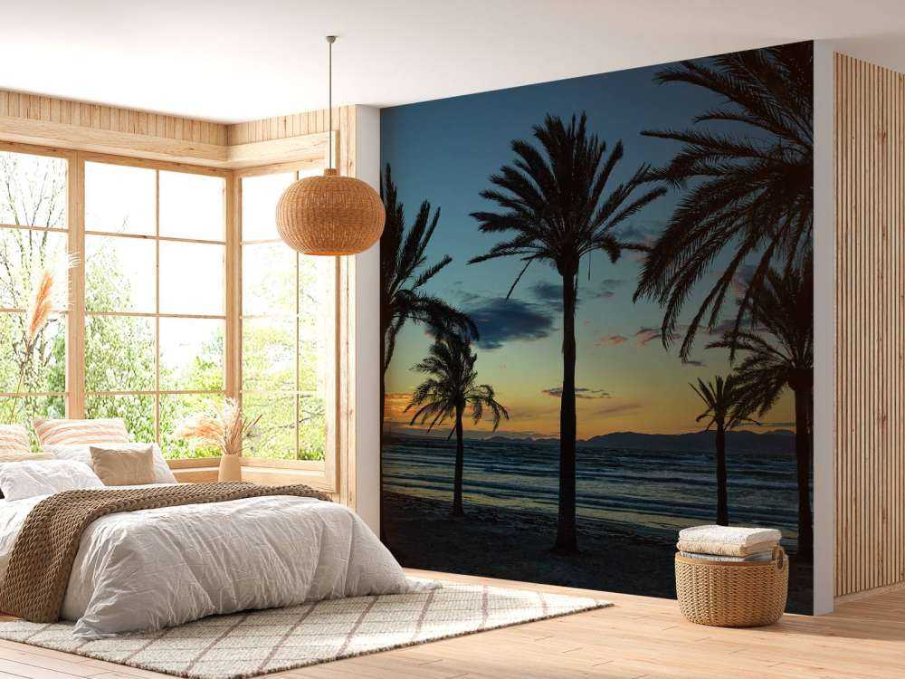 Les palmiers au coucher du soleil