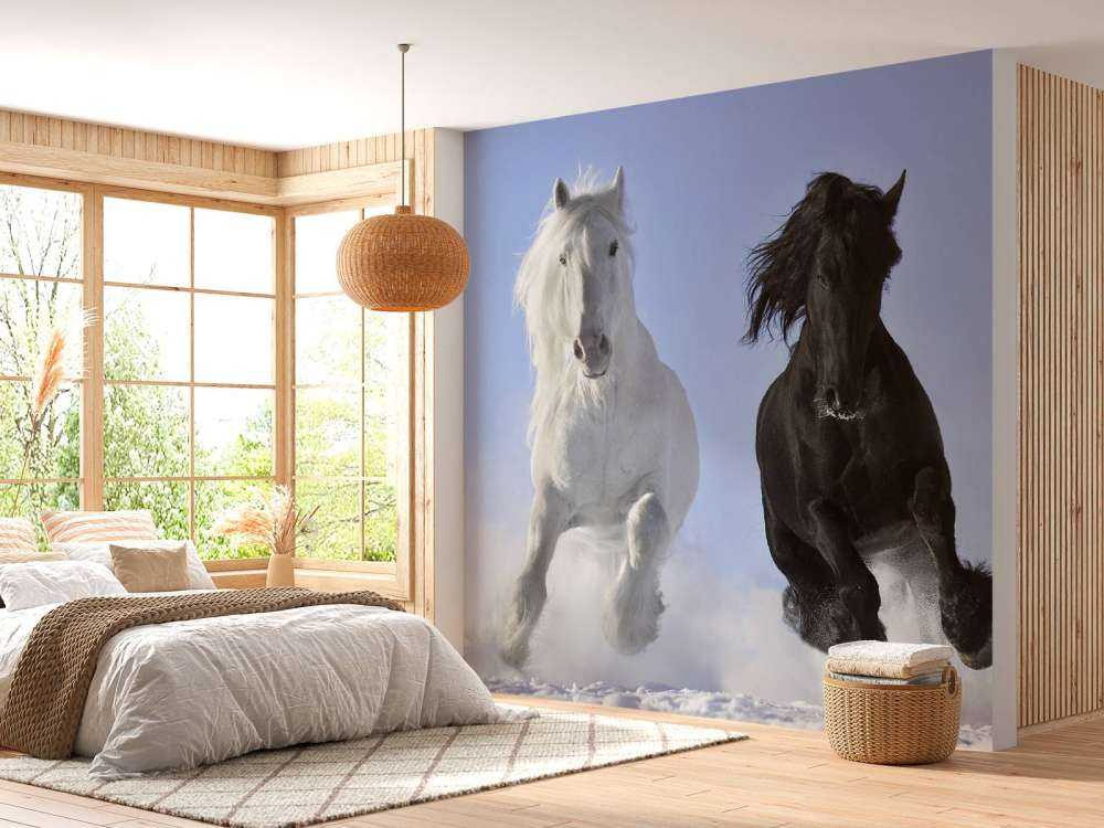 Cheval blanc et noir