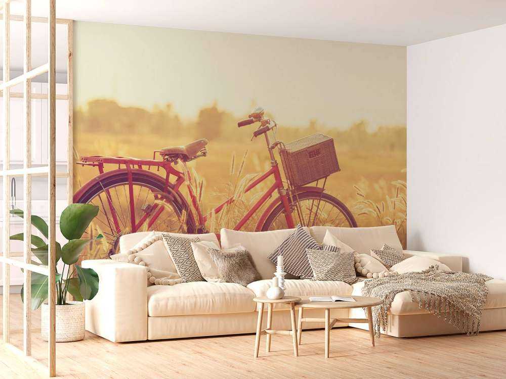 Vélo d'époque