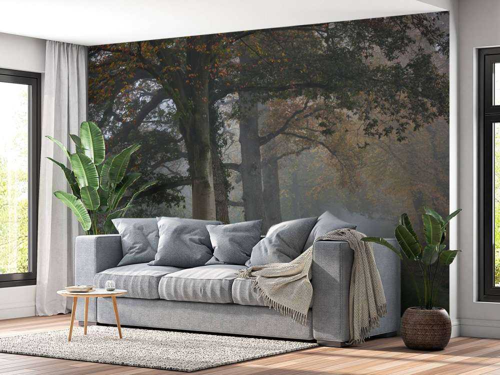 Allée avec des arbres dans le brouillard