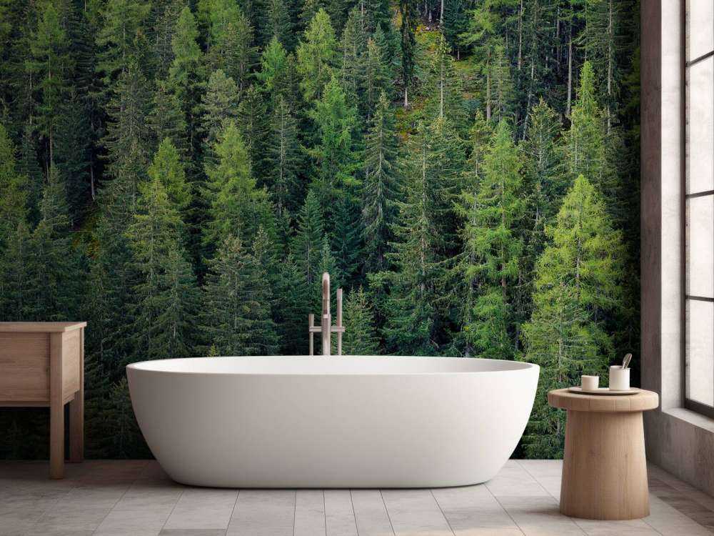 Forêt d'épicéas verts