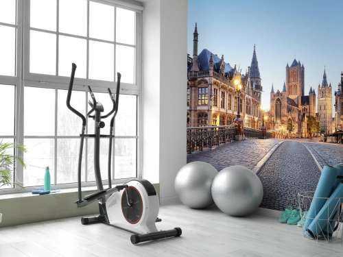 Centre historique de Gand