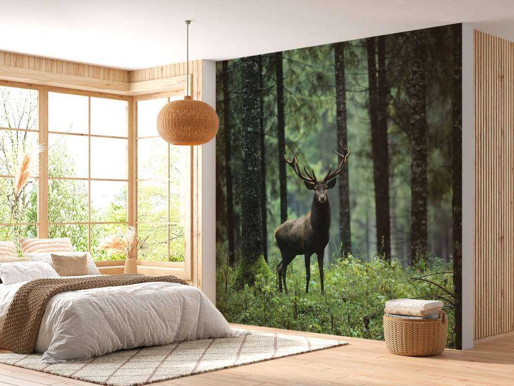 Grand cerf entre les arbres