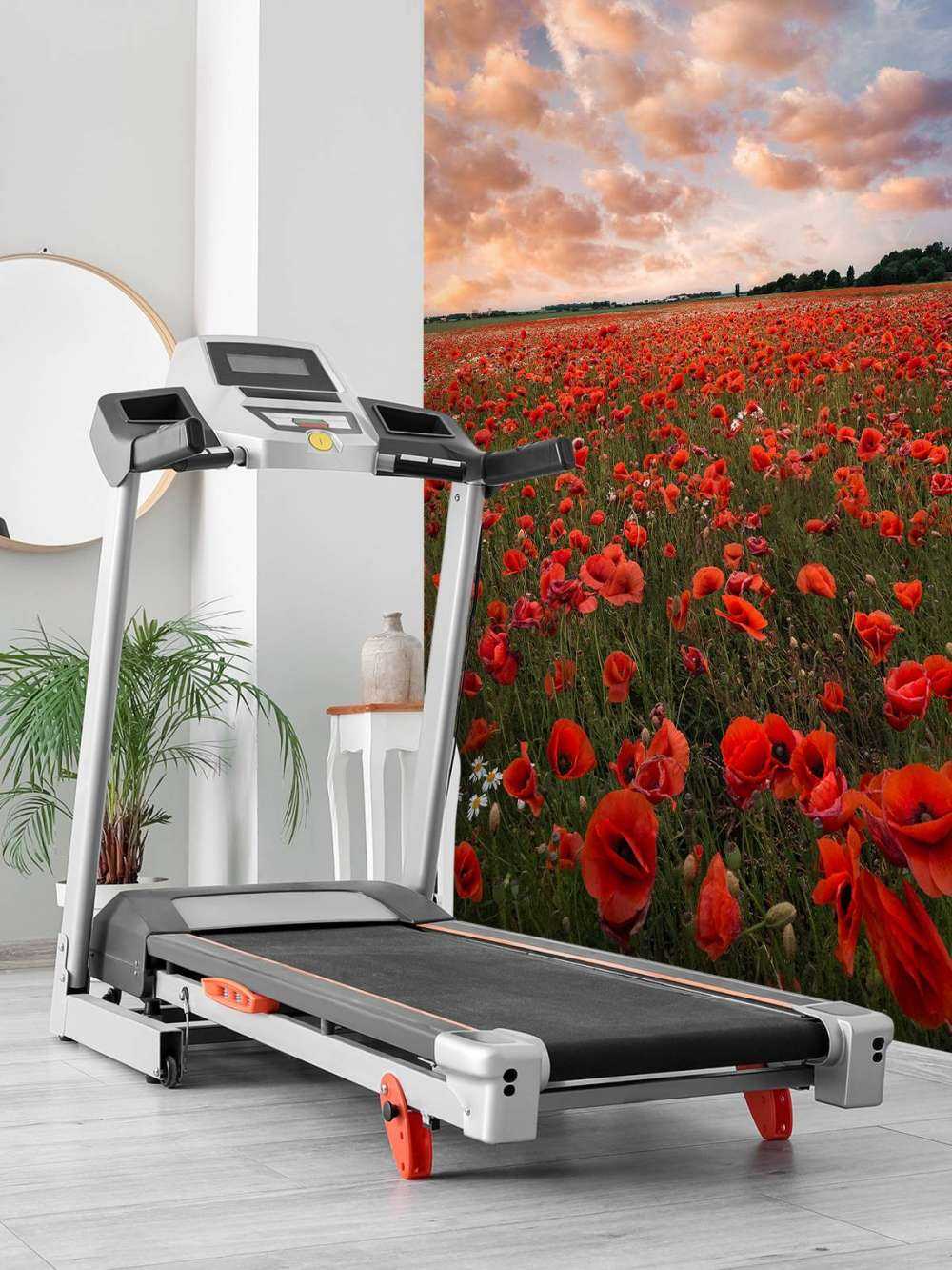 Poppy field in Sweden