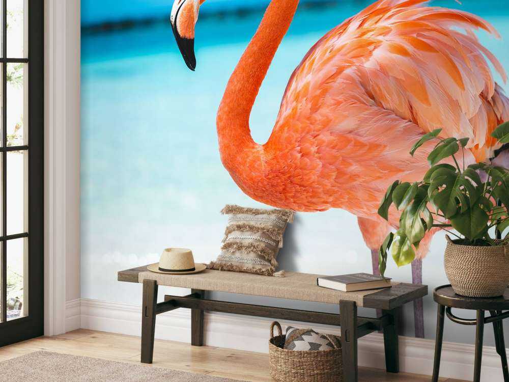 Flamant tropical