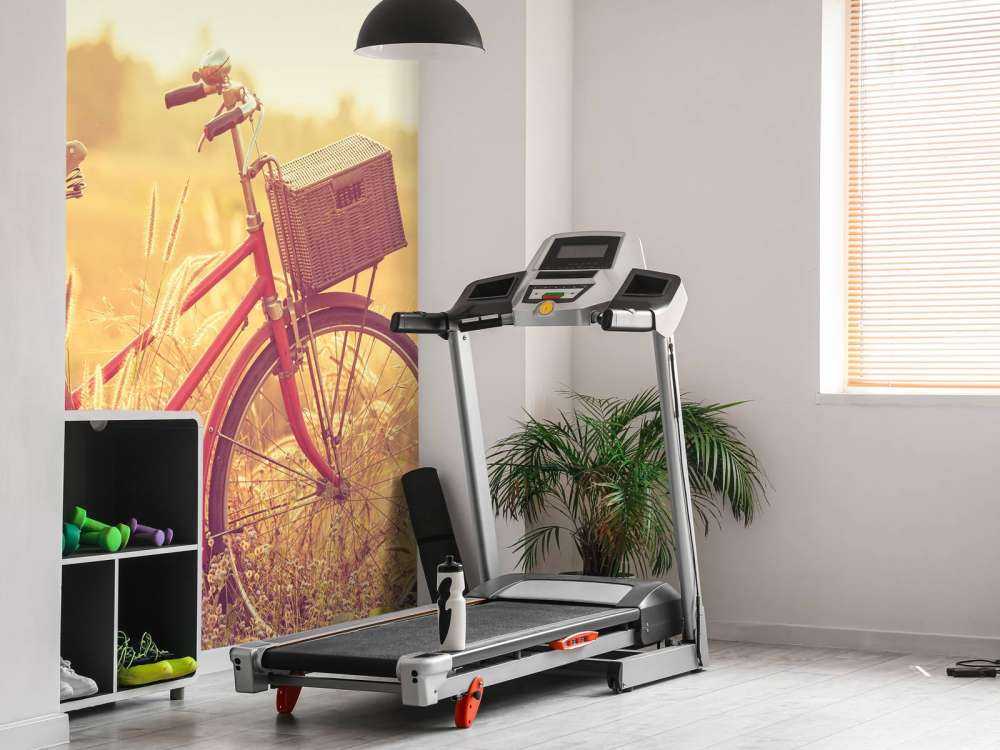 Vélo d'époque