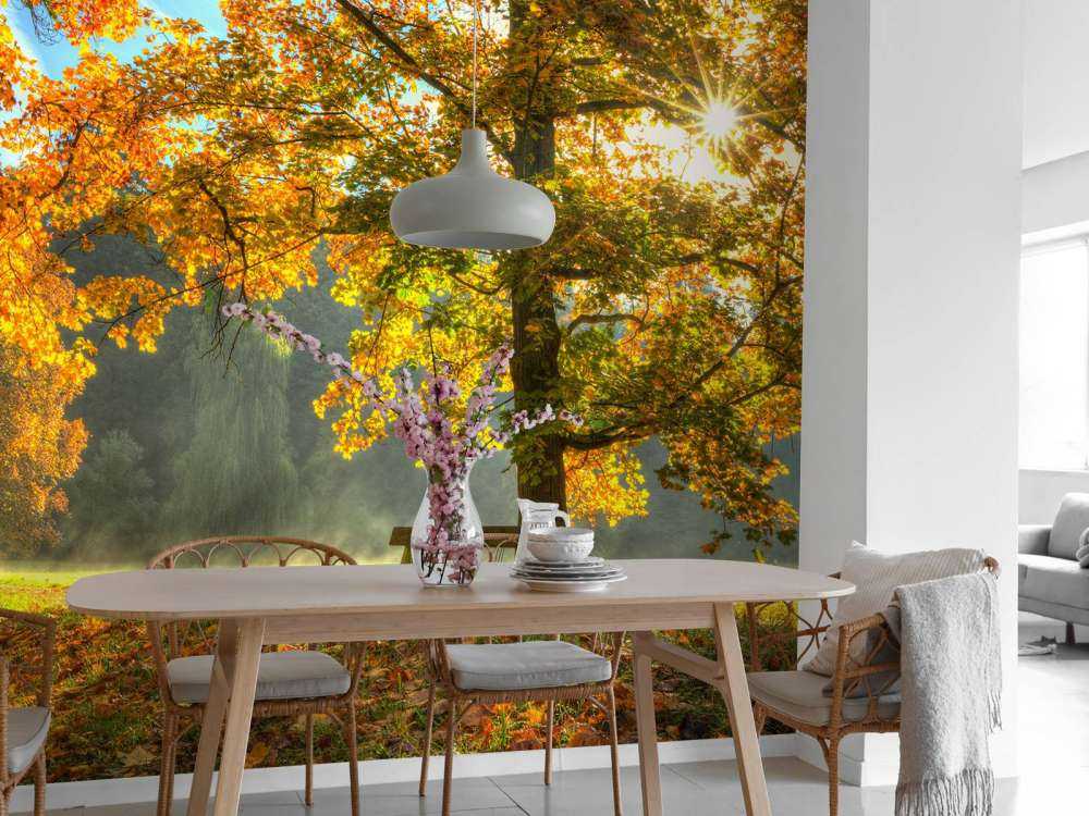 Arbre aux couleurs de l'automne
