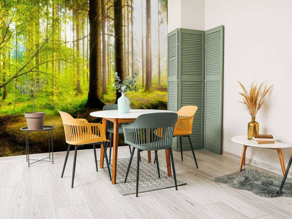 Forêt verte et fraîche