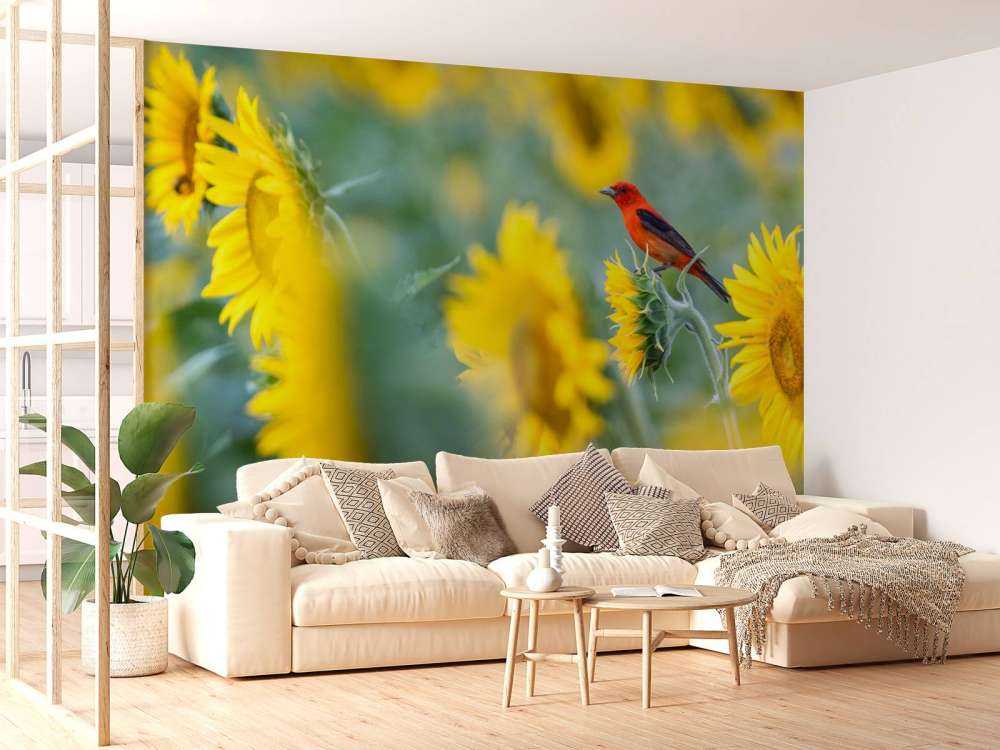 Champ de tournesols avec un oiseau rouge