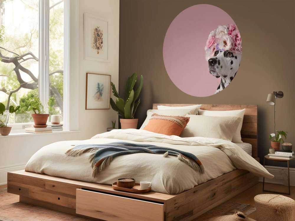 Dalmatien avec des fleurs colorées