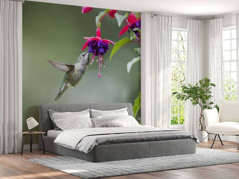 Colibri en vol