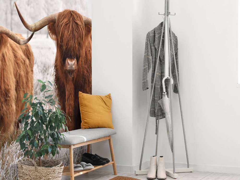 Hiver Highlander