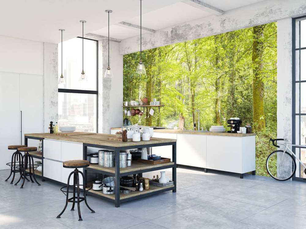 la forêt verte