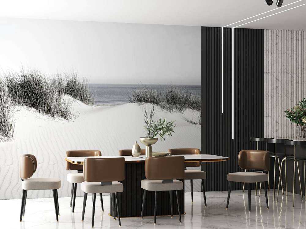 Passage de la dune à la plage noir et blanc