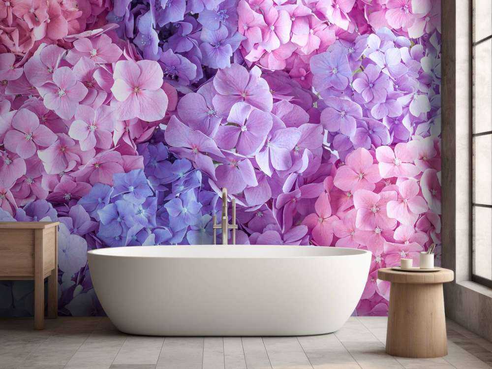 Hortensias multicolores