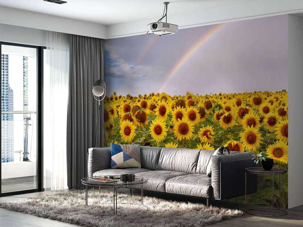 Champ de tournesols