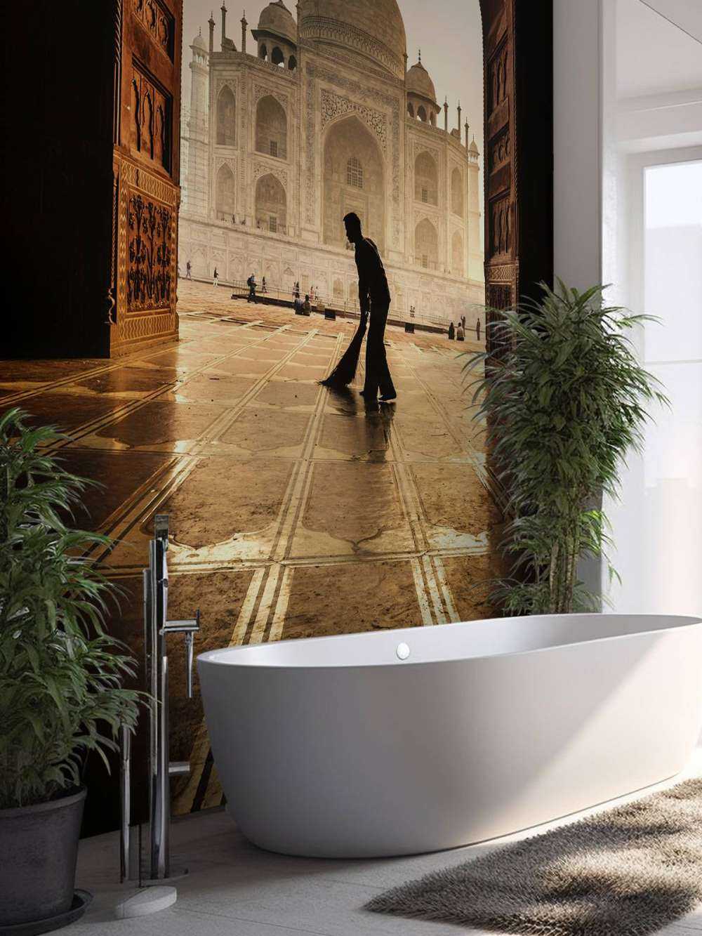 Taj mahal cleaner
