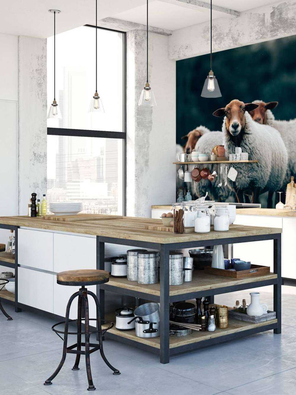 Moutons le soir