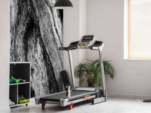 Arbre noir