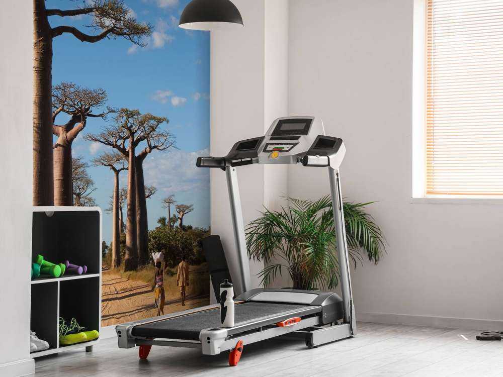 Baobabs