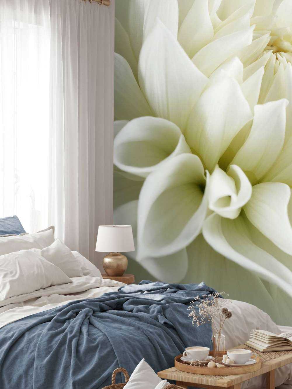 Fleur blanche