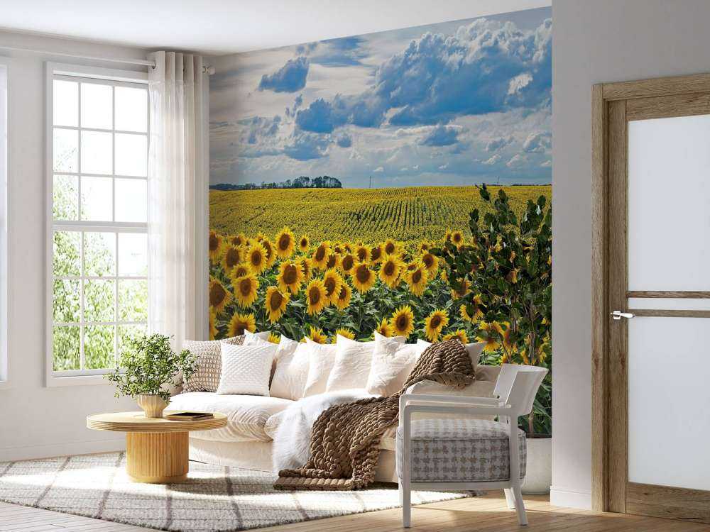 Une prairie pleine de tournesols