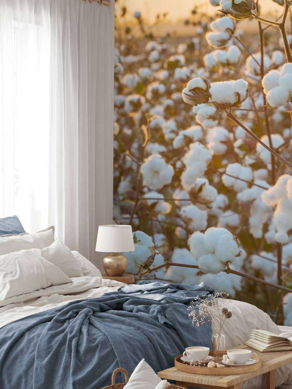 Champ de coton avec un ciel jaune doré