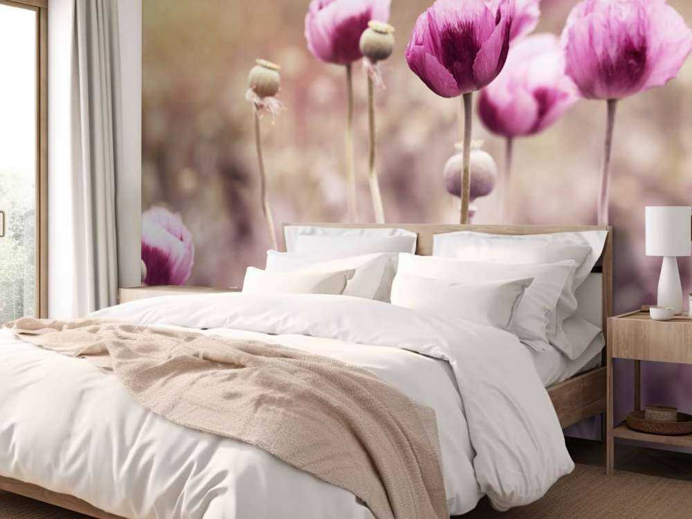 Coquelicots roses