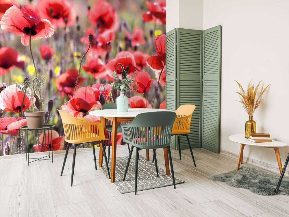 Des coquelicots au look vintage