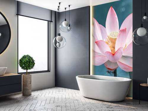 Gros plan sur la fleur de lotus